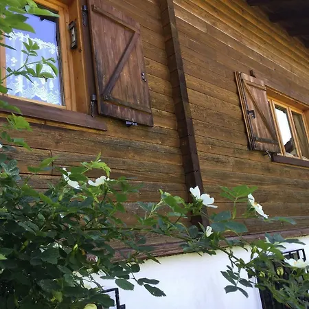 Ferienhaus Ella&Puck Bad Mitterndorf Exterior foto